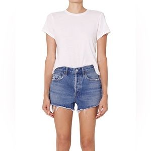 Agolde | Parker Vintage Cut Off Shorts High Rise Button Fly Denim Lowkey Size 27
